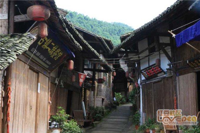 了解很多人每天早上去晨跑,究竟为什么坚持晨跑呢?,探索冷知识的独特平台!